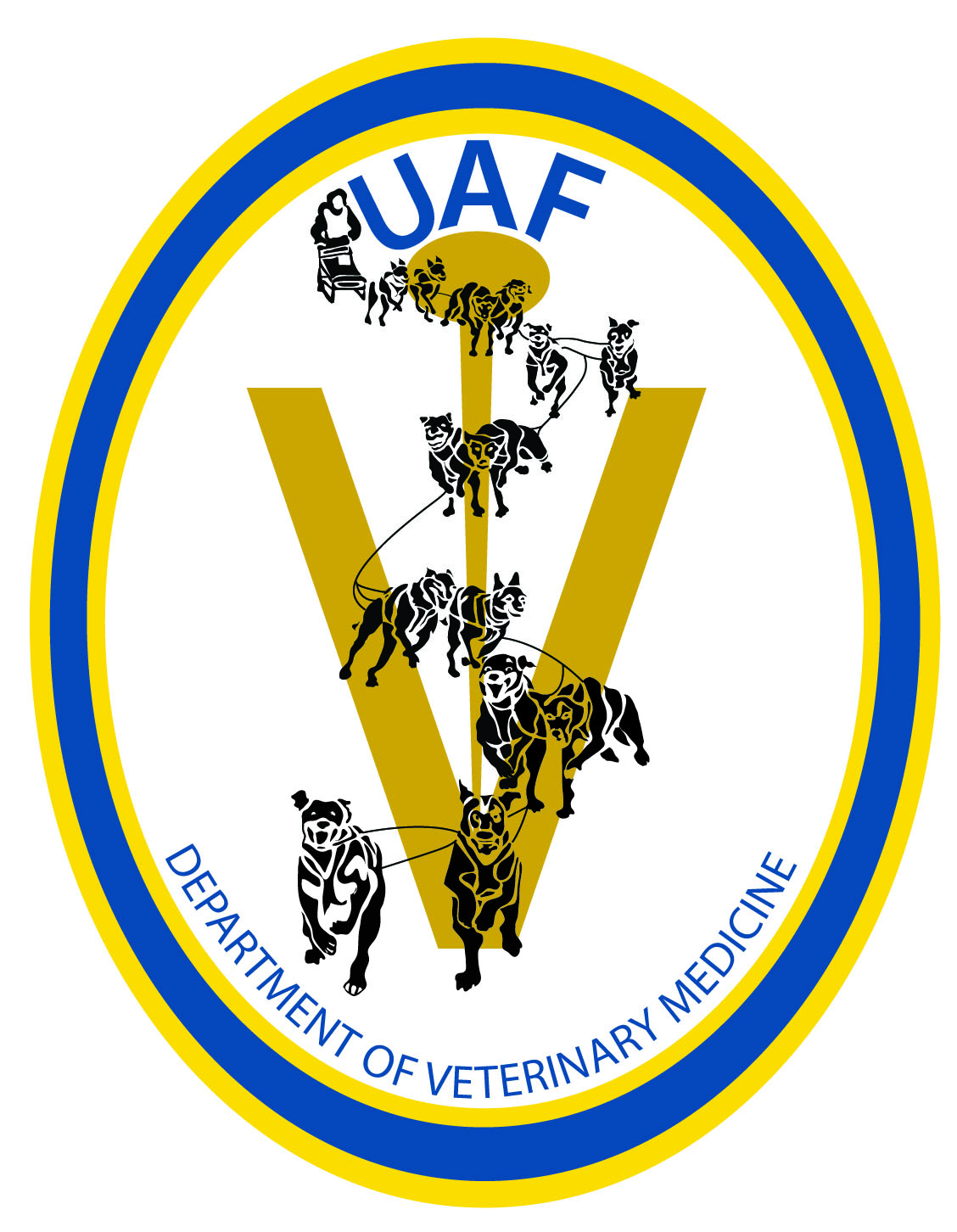 Veterinary Medicine Dept logo: An oval bordered in yellow and blue with "UAF" at the top of oval and "Department of Veterinary Medicine" at the bottom. Down the center is a musher with dog team in an "s" shape overlayed on a medical "V."