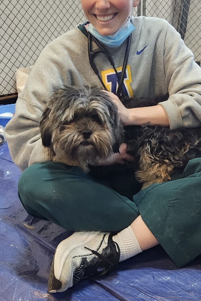 A woman in a hoodie and scrubs sits on the floor with a scruffy grey dog in her lap