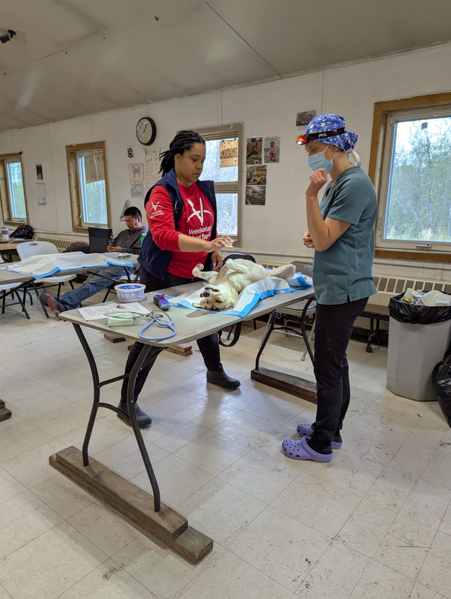 Two veterinary professionals in a brightly lit room prepare a dog for a procedure. A woman in a red shirt and black vest stands at a metal table, tending to a medium-sized, light-colored dog lying on its back on a blue and white medical pad. Beside her, a woman in grey scrubs, a face mask, and a patterned surgical cap with a headlamp observes. In the background, another person sits at a desk near a window.