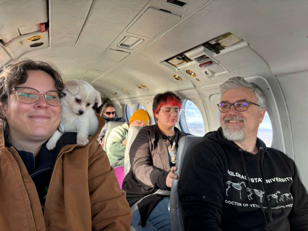 5 viewable people sit inside a small passengar plane with a small white puppy sitting on a woman's shoulder and a bearded man next to her smiles at the puppy.