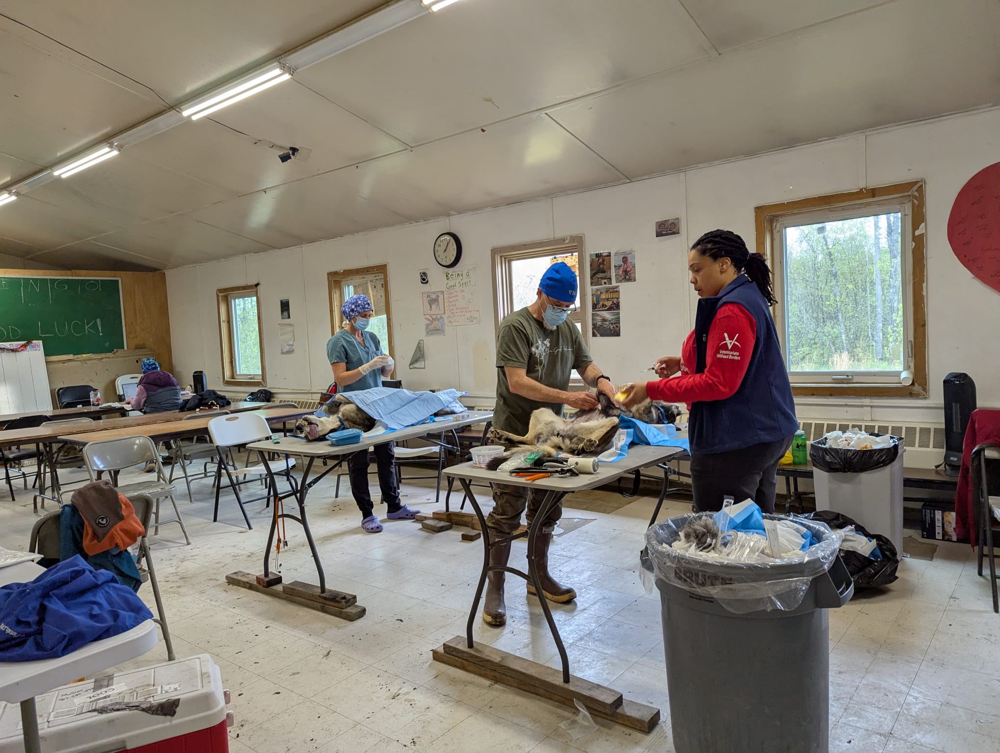 A makeshift veterinary services clinic with several folding tables stationed uniformally with a small dog being prepped forsurgery and two veterinarians at the table with the animal.