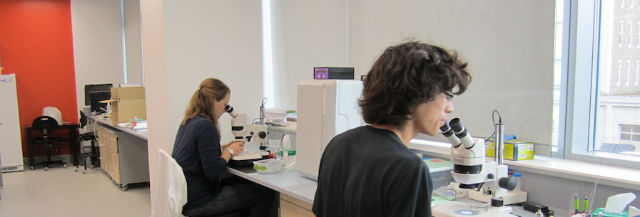 A student doing worm research in a lab