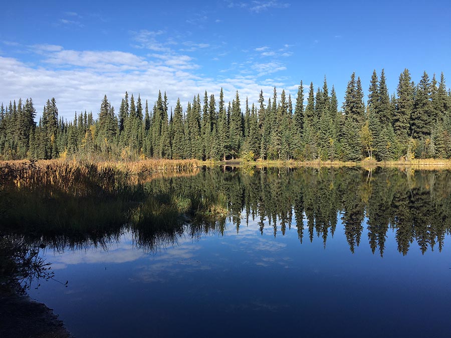 Ballaine Lake in Fairbanks