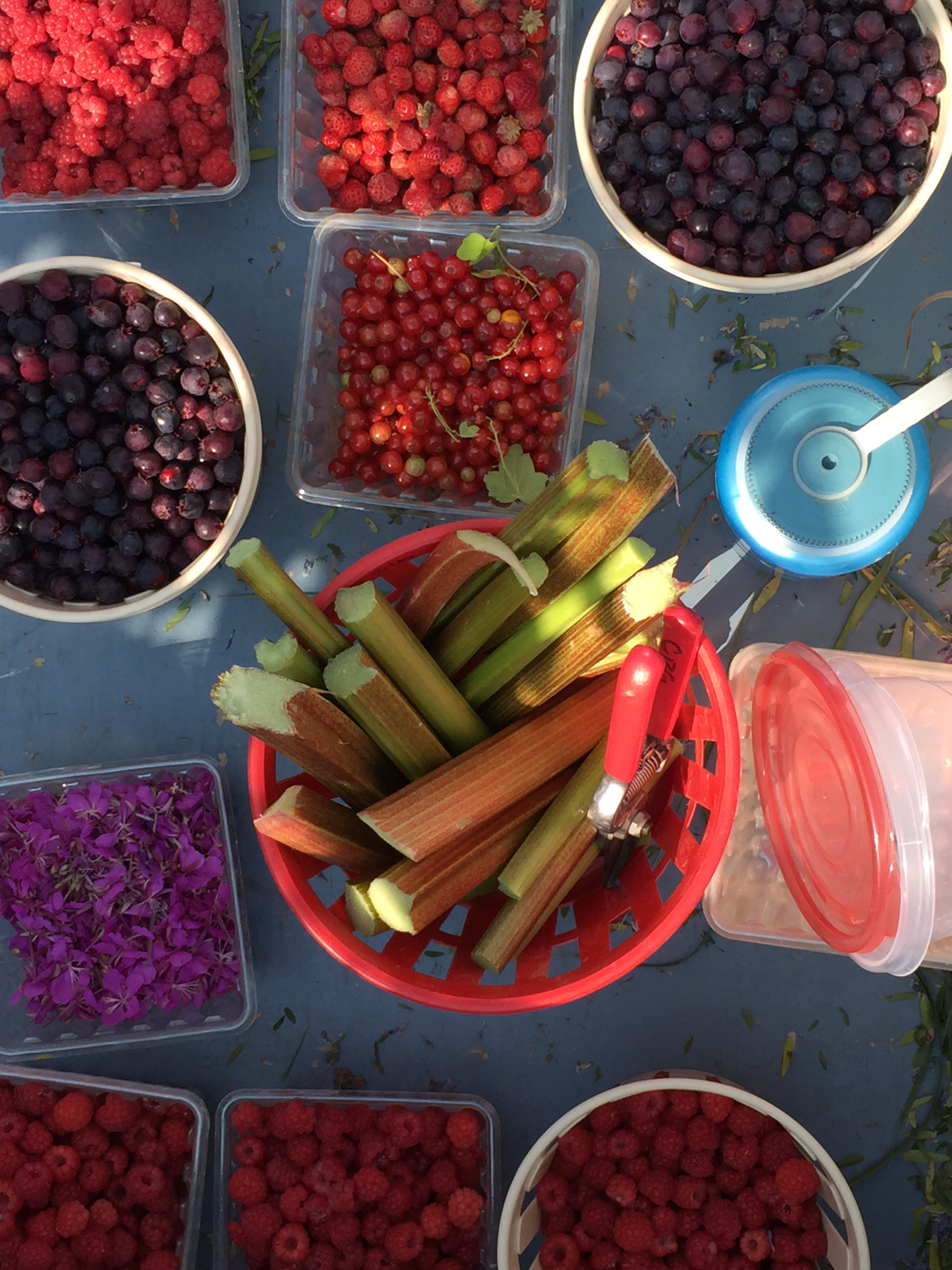 bowls of berries and rhubarb