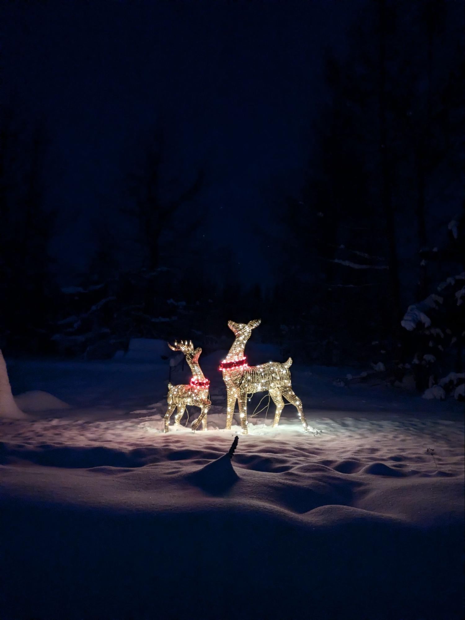 A pair of deer shapes are lit up by holiday lights in a snowy setting