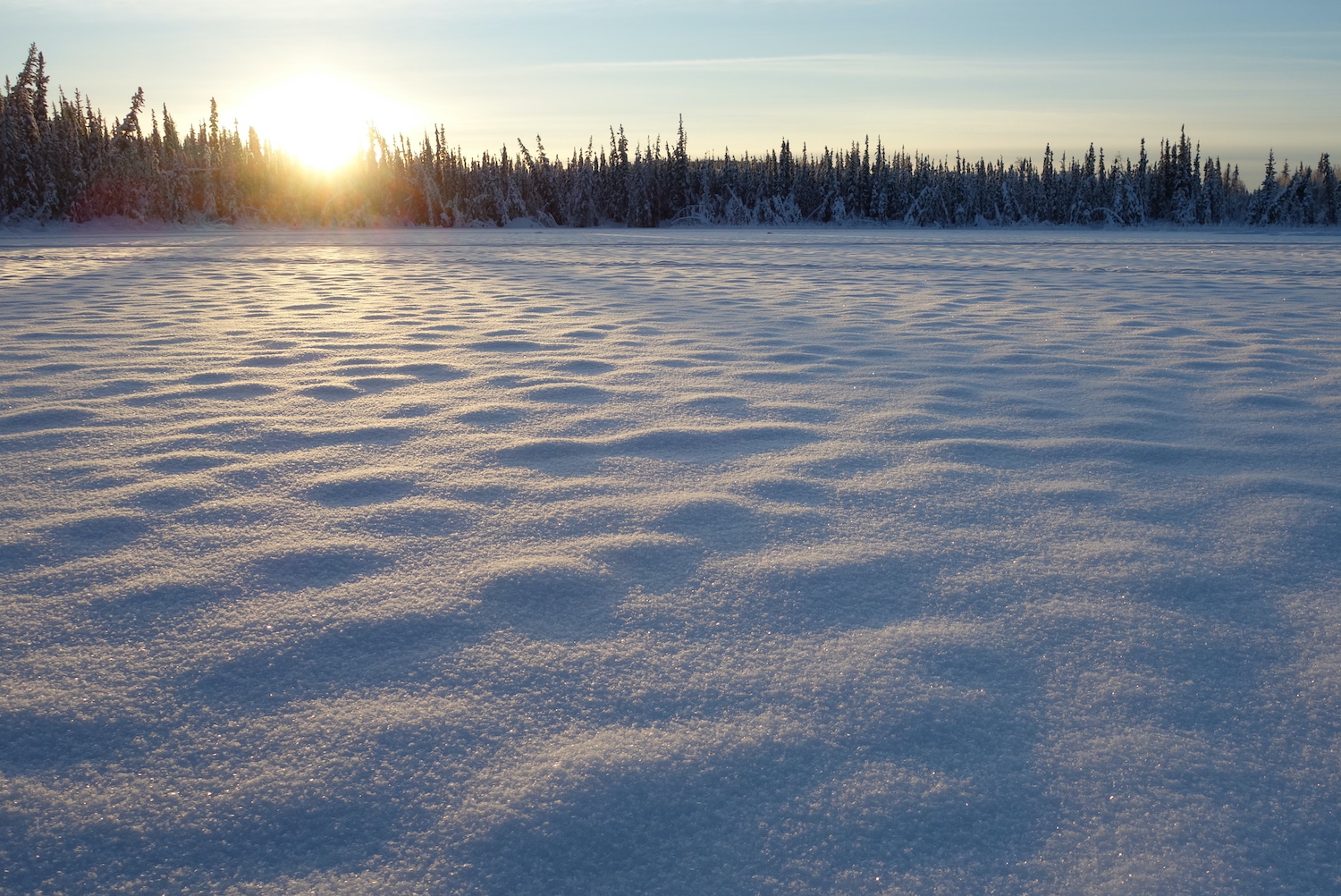 The late-November sun shines over a Fairbanks lake.