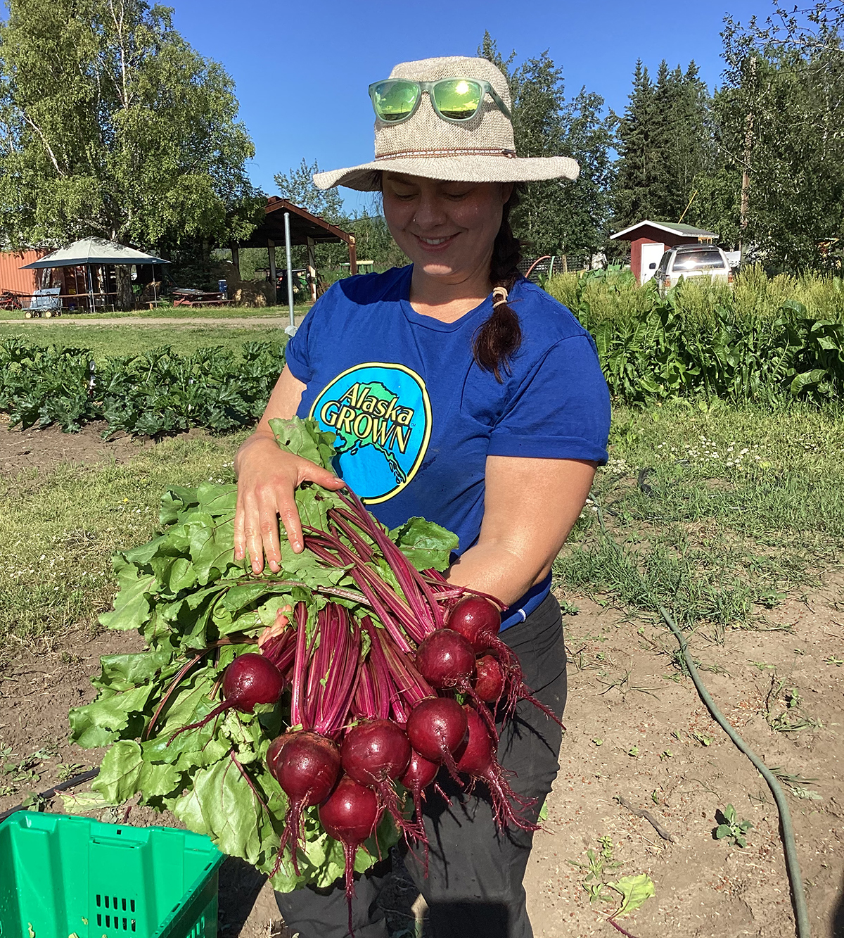 A woman wearing an Alaska Grown shirt and a sunhat holds a big bunch of freshly harvested beets. Farm equipment is seen in the background.