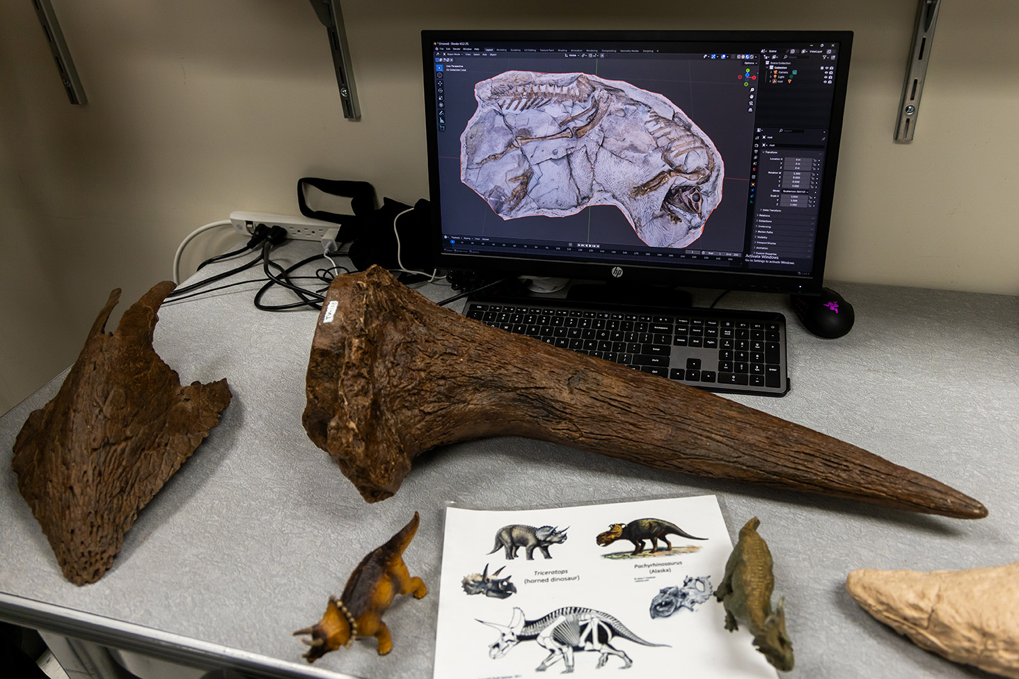 Bones and small dinosaur replicas are laid on a table in front of a computer screen showing the bones as they looked in the ground.
