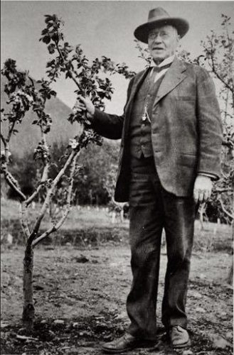 Charles Georgeson stands next to an apple tree growing in Sitka. Photo by E.W. Merrill, public domain