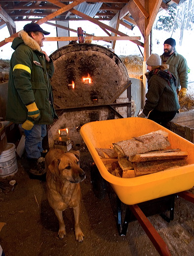 See caption below for description