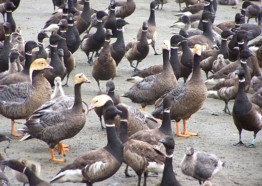 Read caption below for image description