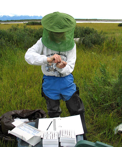 Read caption below for description of image