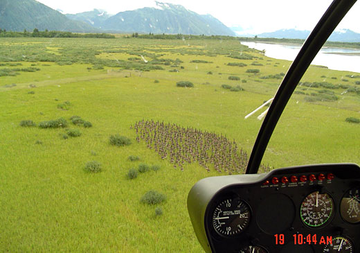 Read caption below for description