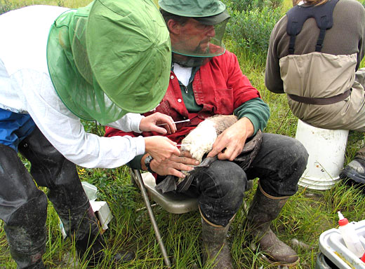 Read caption below for image description