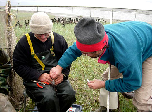 Read caption below for image description