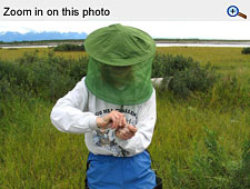 Read caption below image for description