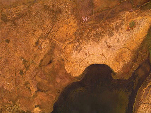 Read caption below for image description