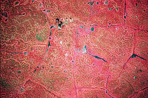 Read caption below for image description