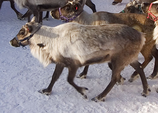 See caption below image for description