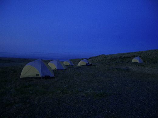 Read caption below for image description