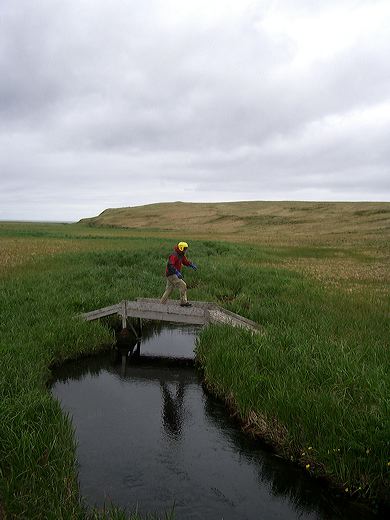 Read caption below for image description