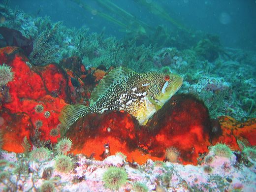 Read caption below for image description