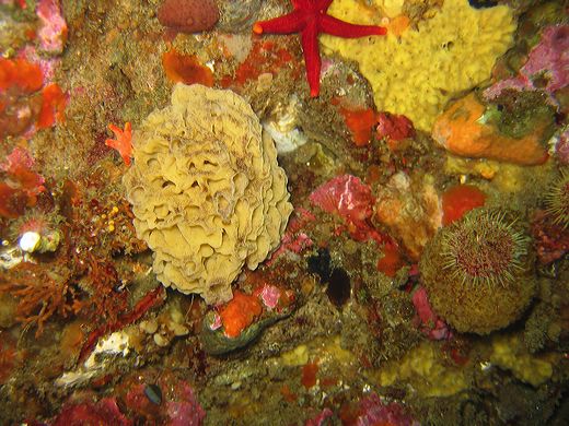 Read caption below for image description