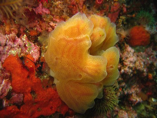 Read caption below for image description