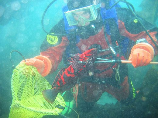 Read caption below for image description