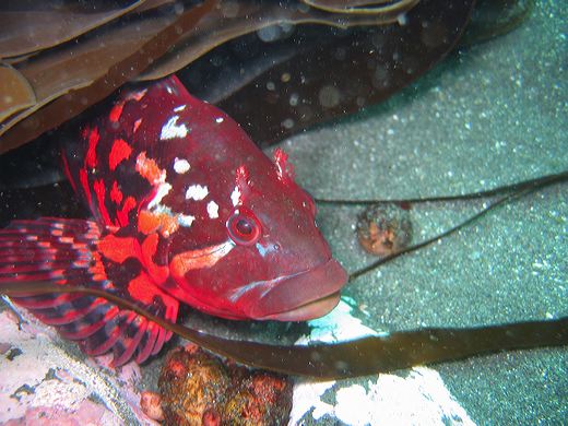 Read caption below for image description