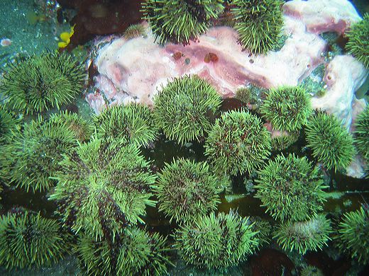 Read caption below for image description