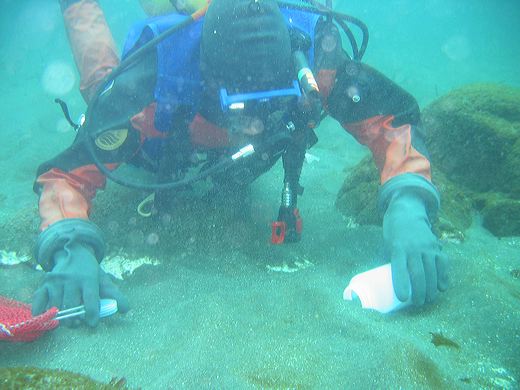 Read caption below for image description