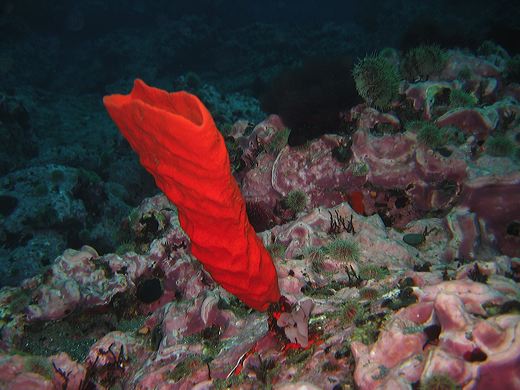 Read caption below for image description