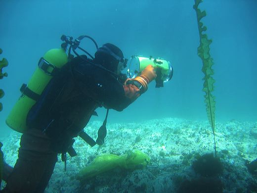 Read caption below for image description