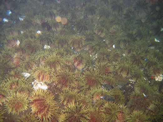 Read caption below for image description