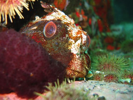 Read caption below for image description