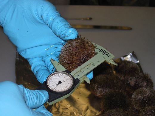 Read caption below for image description