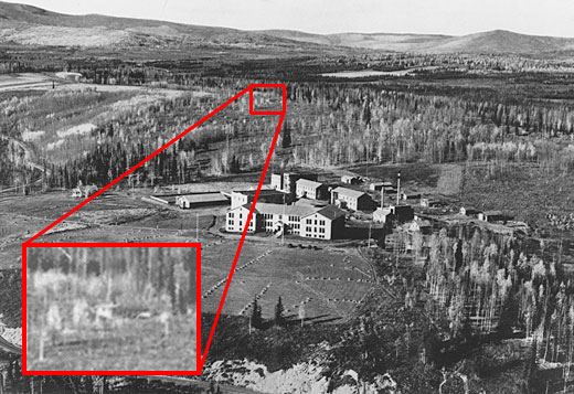 See caption below for description