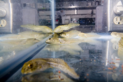 Read caption below for image description