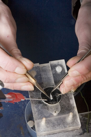 Read caption below for image description