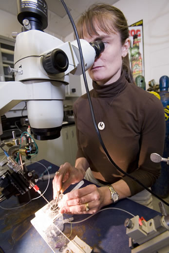 Read caption below for image description