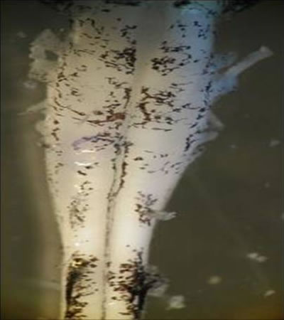 Read caption below for image description