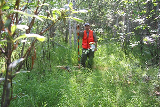 Curtis Knight stands in and admist vegetation while resting his hand on the measuring stick.