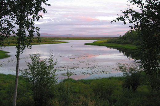 A broad view of Kanuti lake with some trees and brush in the forground, and clouds and mountains in the background.