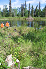 Curtis Knight and Lisa Saperstein are in orange vests near a pond with a beaver lodge in the background.