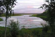 A broad view of Kanuti lake with some trees and brush in the forground, and clouds and mountains in the background.
