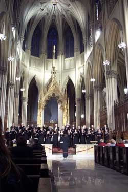 St. Patrick's Cathedral 