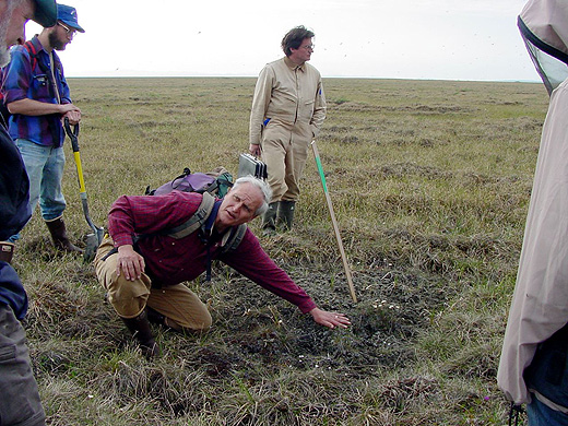 looking at the ground