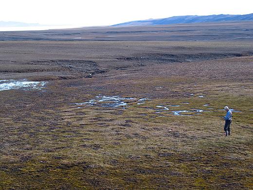 Skip Walker on tundra