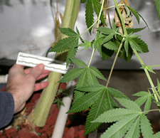 [Photo: Read caption below]